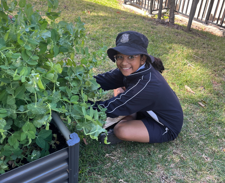One student, in a WPS navy jacket and hat, sits in a leafy vegetable garden. She is smiling.